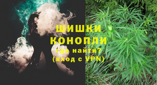 гидропоника Бородино