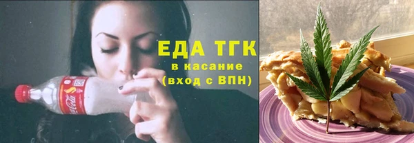 гидра Богородицк