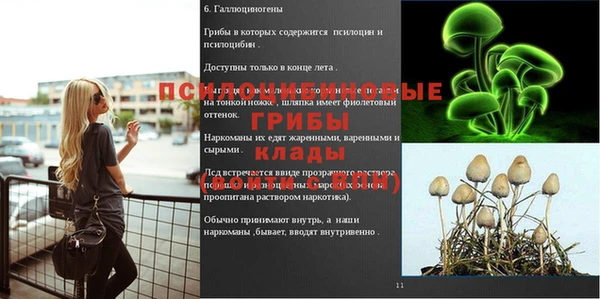 гидропоника Бородино