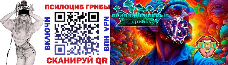 наркота  Новочебоксарск  Псилоцибиновые грибы мухоморы 